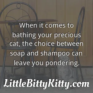 When it comes to bathing your precious cat, the choice between soap and shampoo can leave you pondering.