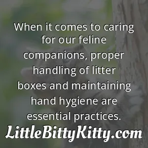 When it comes to caring for our feline companions, proper handling of litter boxes and maintaining hand hygiene are essential practices.