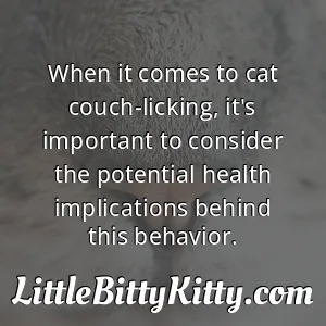 When it comes to cat couch-licking, it's important to consider the potential health implications behind this behavior.