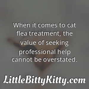 When it comes to cat flea treatment, the value of seeking professional help cannot be overstated.
