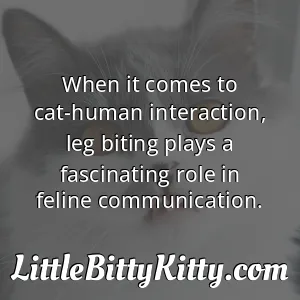 When it comes to cat-human interaction, leg biting plays a fascinating role in feline communication.