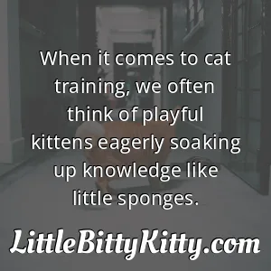 When it comes to cat training, we often think of playful kittens eagerly soaking up knowledge like little sponges.