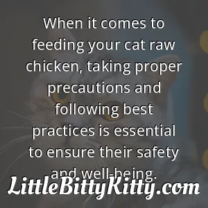 When it comes to feeding your cat raw chicken, taking proper precautions and following best practices is essential to ensure their safety and well-being.