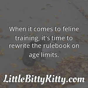 When it comes to feline training, it's time to rewrite the rulebook on age limits.