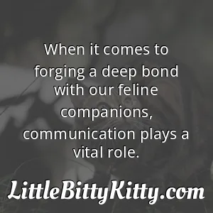 When it comes to forging a deep bond with our feline companions, communication plays a vital role.