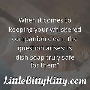When it comes to keeping your whiskered companion clean, the question arises: Is dish soap truly safe for them?