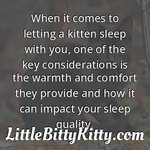 When it comes to letting a kitten sleep with you, one of the key considerations is the warmth and comfort they provide and how it can impact your sleep quality.