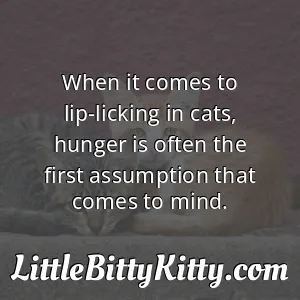 When it comes to lip-licking in cats, hunger is often the first assumption that comes to mind.