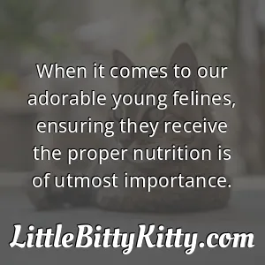 When it comes to our adorable young felines, ensuring they receive the proper nutrition is of utmost importance.