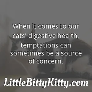 When it comes to our cats' digestive health, temptations can sometimes be a source of concern.