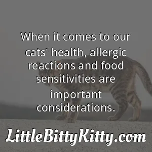 When it comes to our cats' health, allergic reactions and food sensitivities are important considerations.