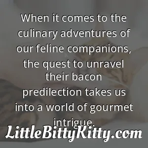 When it comes to the culinary adventures of our feline companions, the quest to unravel their bacon predilection takes us into a world of gourmet intrigue.
