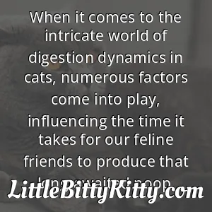 When it comes to the intricate world of digestion dynamics in cats, numerous factors come into play, influencing the time it takes for our feline friends to produce that long-awaited poop.