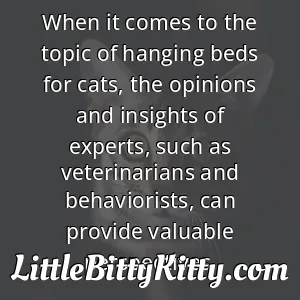 When it comes to the topic of hanging beds for cats, the opinions and insights of experts, such as veterinarians and behaviorists, can provide valuable perspectives.