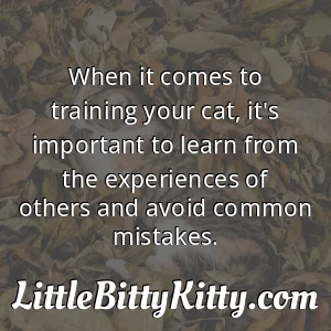 When it comes to training your cat, it's important to learn from the experiences of others and avoid common mistakes.