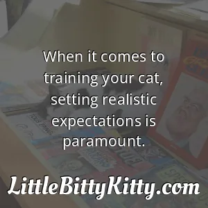 When it comes to training your cat, setting realistic expectations is paramount.