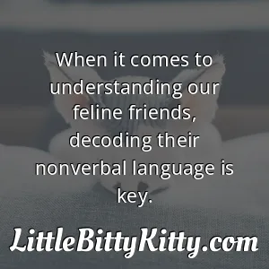 When it comes to understanding our feline friends, decoding their nonverbal language is key.