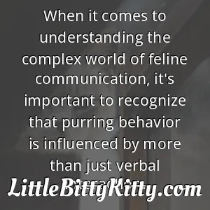 When it comes to understanding the complex world of feline communication, it's important to recognize that purring behavior is influenced by more than just verbal interaction.
