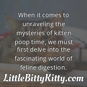 When it comes to unraveling the mysteries of kitten poop time, we must first delve into the fascinating world of feline digestion.