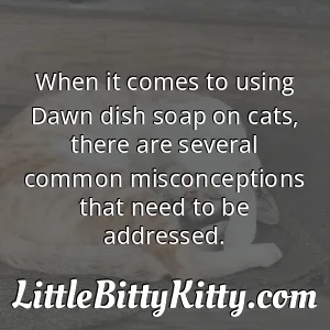 When it comes to using Dawn dish soap on cats, there are several common misconceptions that need to be addressed.