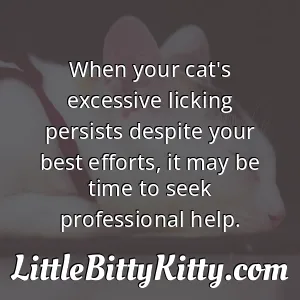 When your cat's excessive licking persists despite your best efforts, it may be time to seek professional help.
