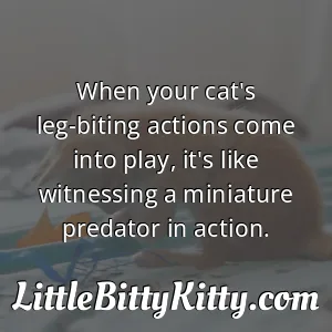 When your cat's leg-biting actions come into play, it's like witnessing a miniature predator in action.