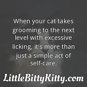 When your cat takes grooming to the next level with excessive licking, it's more than just a simple act of self-care.