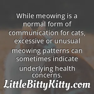 While meowing is a normal form of communication for cats, excessive or unusual meowing patterns can sometimes indicate underlying health concerns.