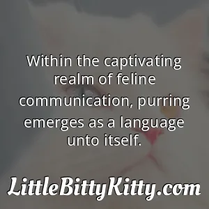 Within the captivating realm of feline communication, purring emerges as a language unto itself.