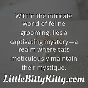 Within the intricate world of feline grooming, lies a captivating mystery—a realm where cats meticulously maintain their mystique.